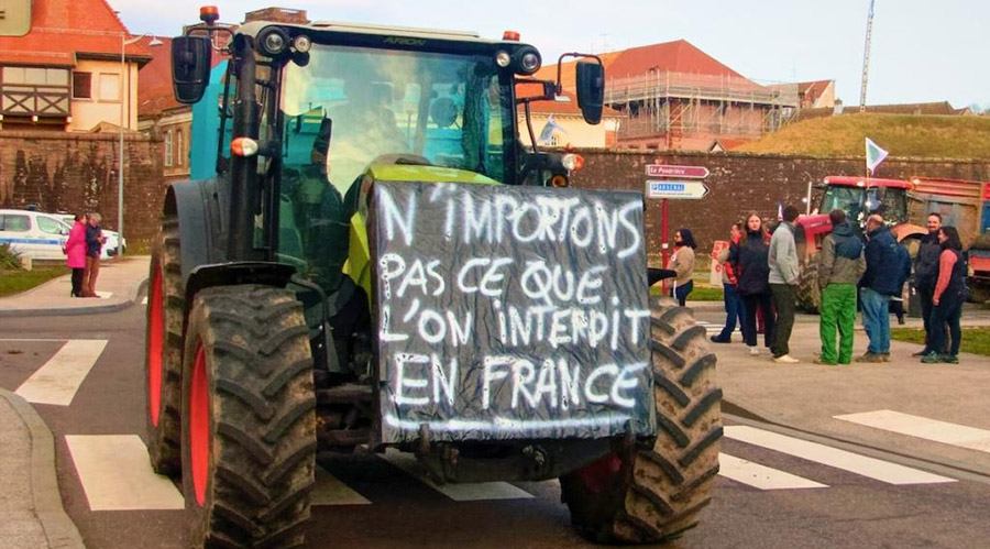 Pourquoi le Mercosur met en danger l'agriculture française ?