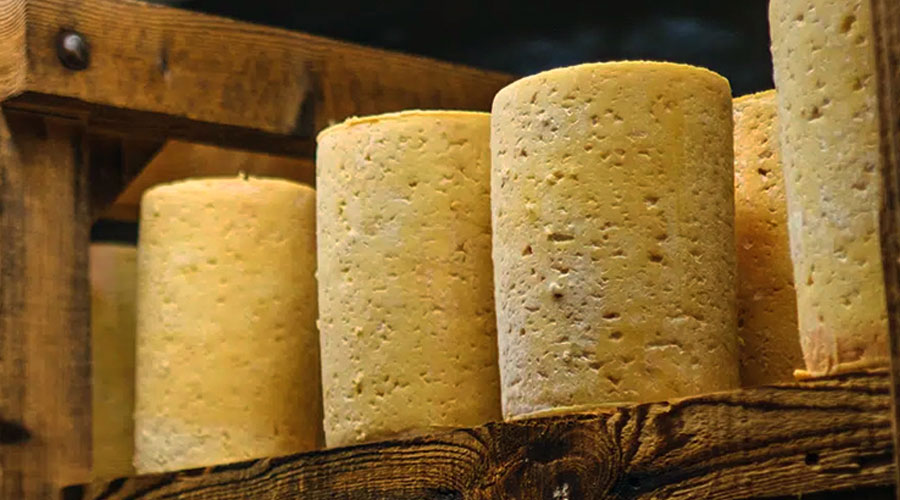 L’art de l’affinage des fromages